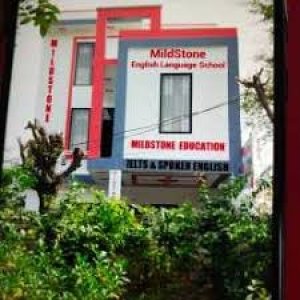 MILD STONE IELTS & ENGLISH LANGUAGE SCHOOL